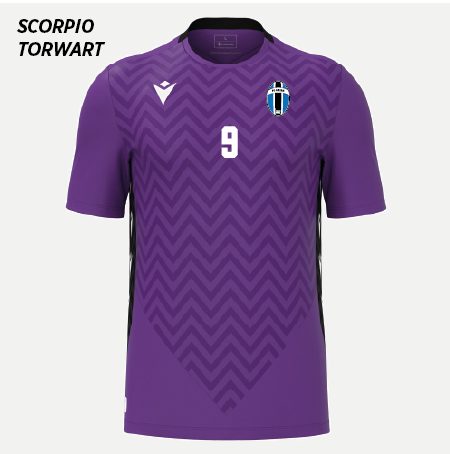FC Orion Trainings Torwart Set Purple
